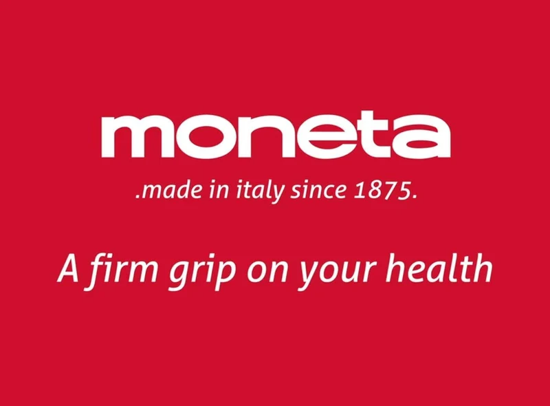 Moneta Aria Finegres Schmorkasserolle 28 cm, Aluminium, Grau
