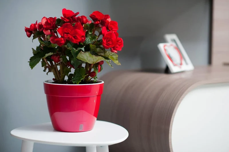 Santino ASTI 3er Set 18CM Selbstwässernder Blumentopf mit Wasserstandsanzeiger für Anlagen, Blumen,