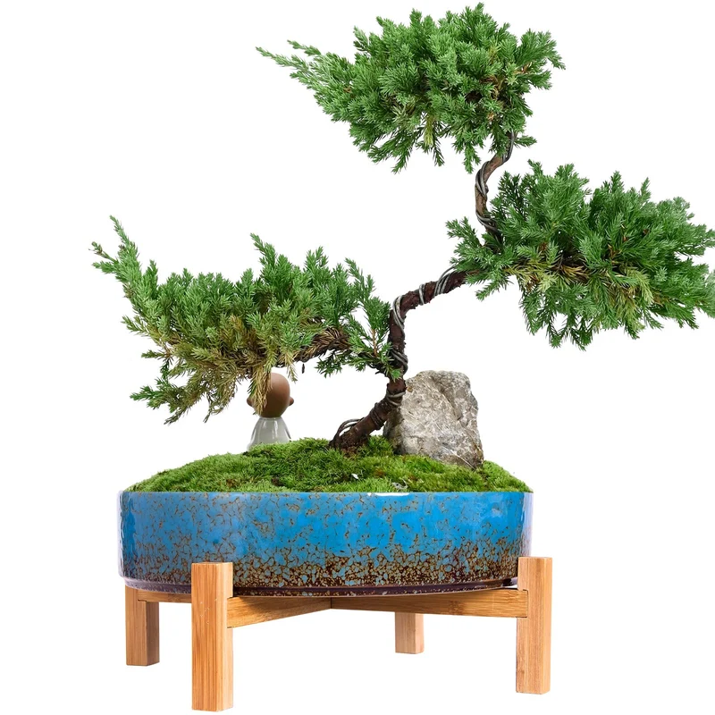 ARTKETTY SukkulentenTöpfe, 29,5 cm grosse SukkulentenPflanzgefässe Töpfe mit Drainage Keramik Bonsai