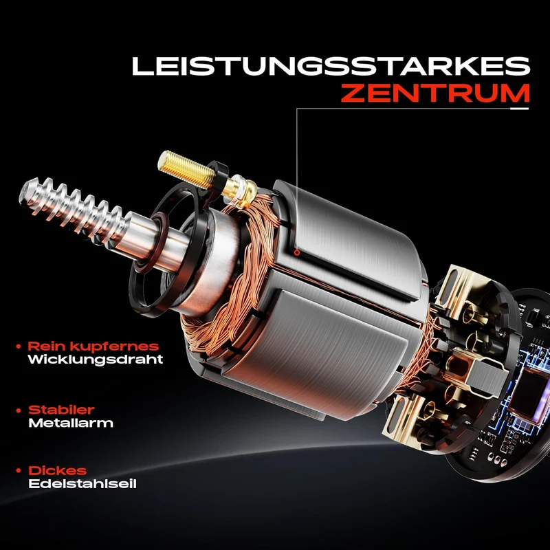 Frankberg 2X Fensterheber Mit Motor Vorne Links Rechts für Tourneo Connect Transit Connect P65 P70 P