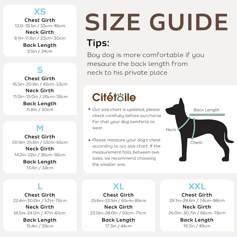 CITÉTOILE Schwimmweste Hund Hai, Hundeschwimmweste & Dog Life Jacket Verstellbar mit Griff und Refle