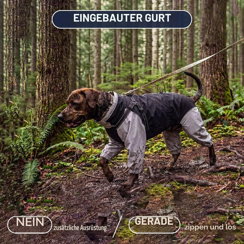 IECOii Regenmantel Hund wasserdicht Full-Body 4-Leg mit versteckter Kapuze,Reissverschluss und Built