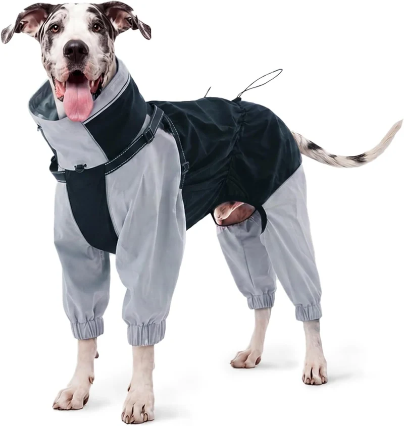 IECOii Regenmantel Hund wasserdicht Full-Body 4-Leg mit versteckter Kapuze,Reissverschluss und Built