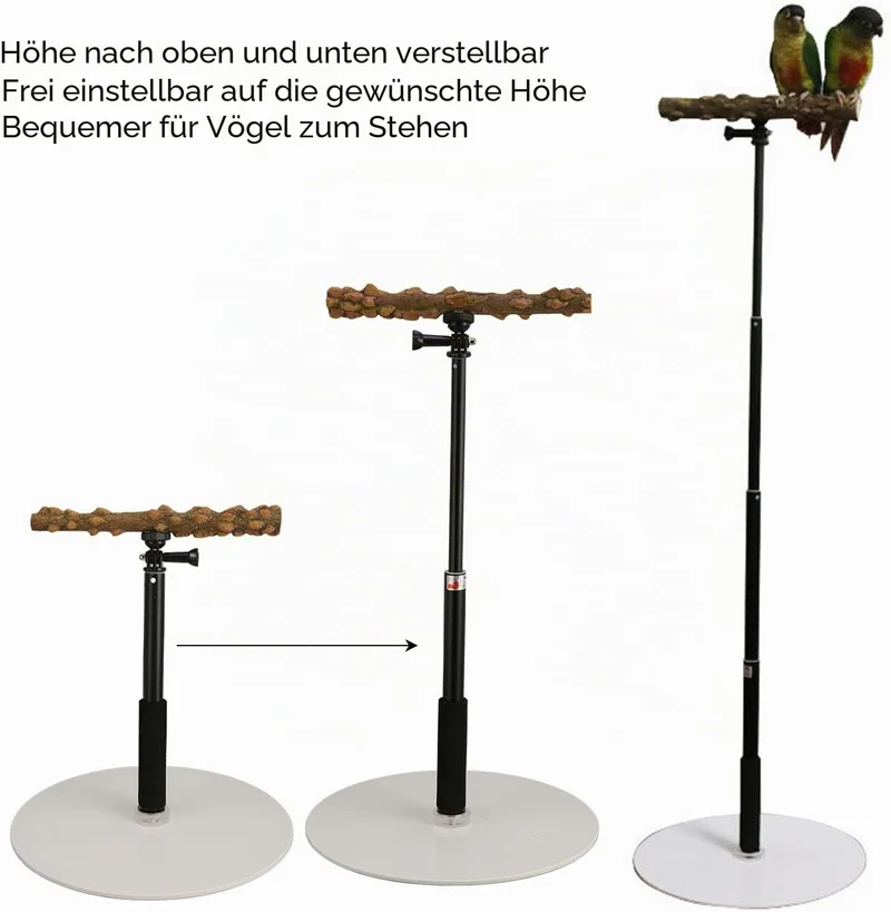 Ayayu Parrot Training Barch Stand, Abnehmbarer Outdoor Vogel Stehplatz mit 37 Zoll höhenverstellbare