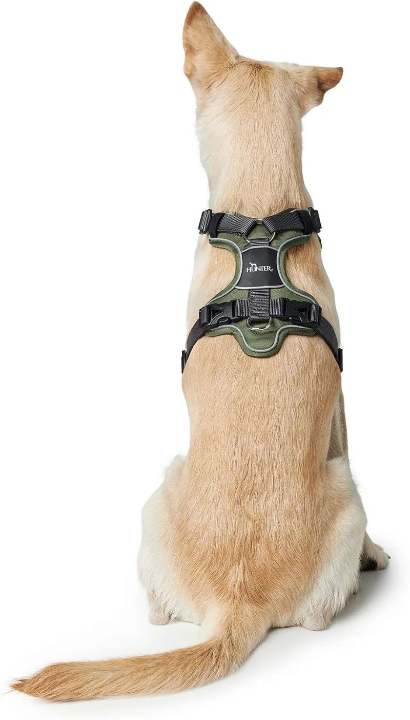 HUNTER DIVO Hundegeschirr, L-XL, 79-107 cm, gün/grau 79 - 107 cm grün/grau, 79 - 107 cm grün/gr