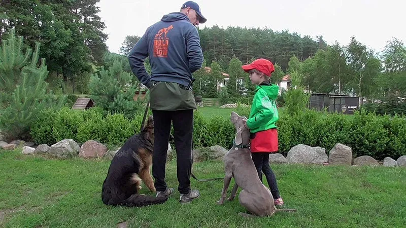 Dingo Gear Trainingsgürtel Arbeitskirt Schutzbekleidung Agility Trainer Helfer Ipo Sporthund