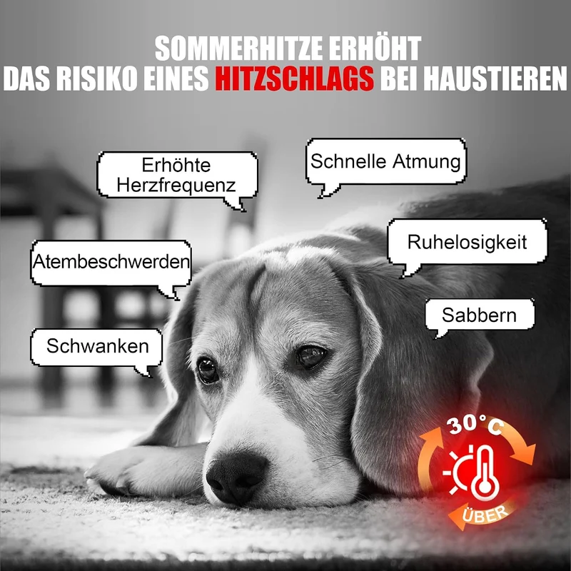 Angelpet Kühlmatte Hund, L 90x50cm – Ungiftige Selbstkühlende Gelmatte Bett, Langlebige wasserdichte