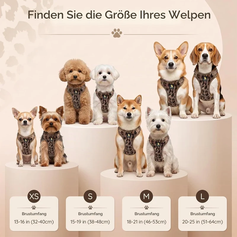 BELLA & PAL Hundegeschirr mit Leine Set, Step-in Geschirr für Welpen/kleine/mittelgrosse Hunde, weic