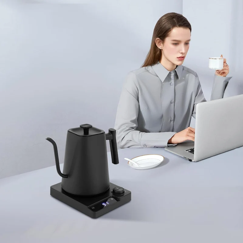 Heisswasserspender mit Echtzeit-Temperatureinstellung, Schwanenhals Wasserkocher, kitchen aid Wasser