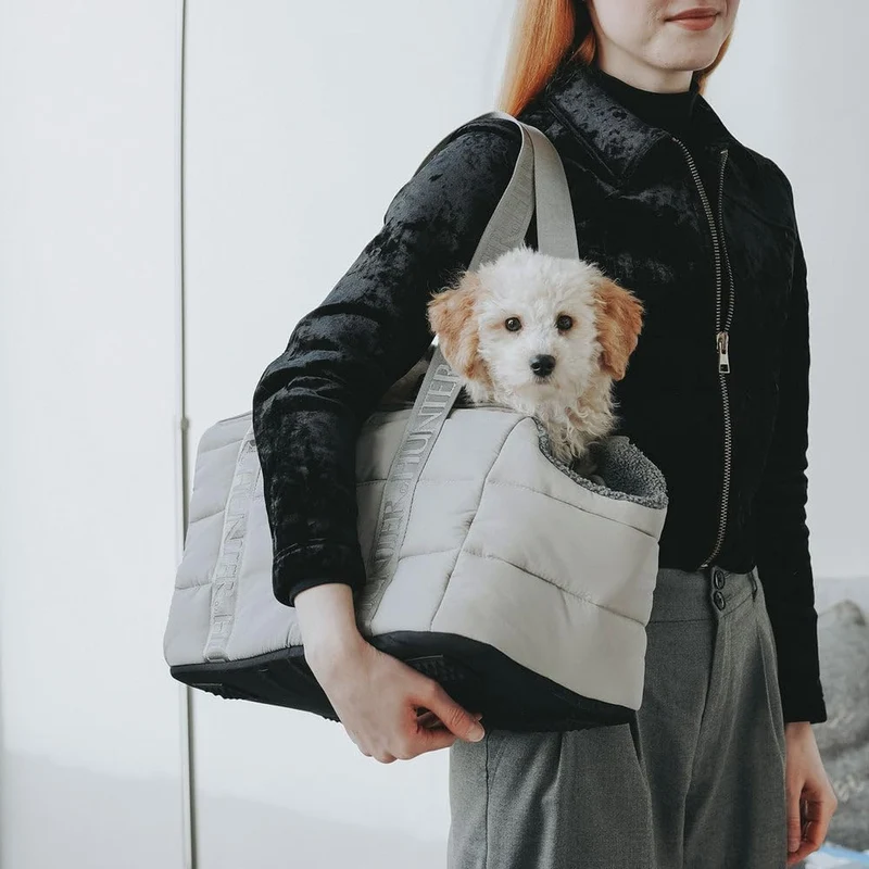 HUNTER 2-in-1 Hunde-Tragetasche und Decke Seoul