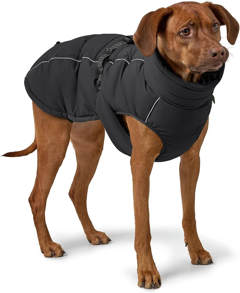 HUNTER Hundemantel Paxson, Farbe: schwarz, stylischer Puffermantel, wasserabweisend, reflektierende