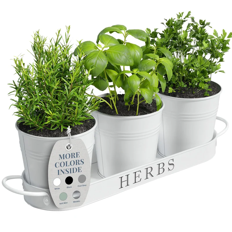 Barnyard Designs Kräutertopf-Pflanzset mit Tablett für den Innengarten oder den Aussenbereich, (3er-