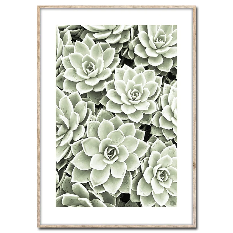 Rahmenbild Succulent | Artbox Wandbild | Bild mit Holz Rahmen Optik Framepic | Sukkulent Garten Zimm