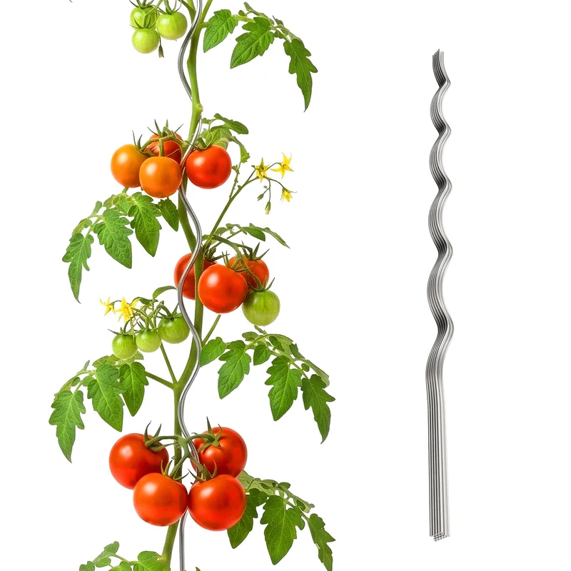 Relaxdays Tomaten Spiralstab, 10er Set, Höhe: 170 cm, Ø 5 mm, verzinktes Metall, Tomatenstäbe, Tomat