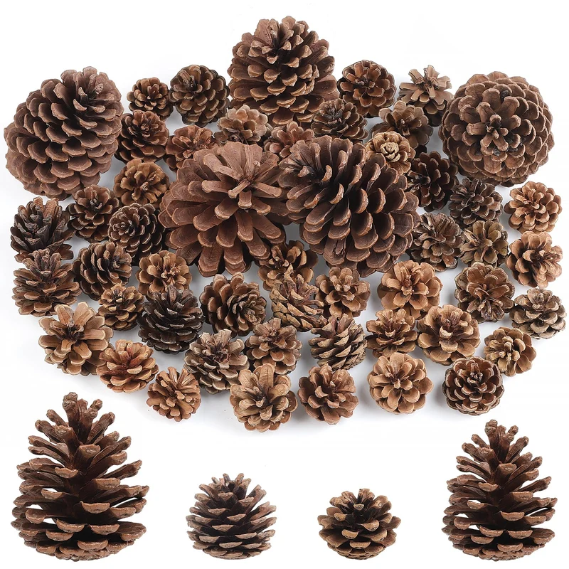 55 Stück natürlichen Tannenzapfen Weihnachts-Tannenzapfen Ornamente Grosse mittlere und kleine Gröss