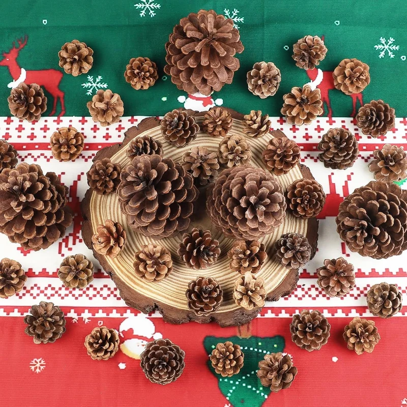 55 Stück natürlichen Tannenzapfen Weihnachts-Tannenzapfen Ornamente Grosse mittlere und kleine Gröss