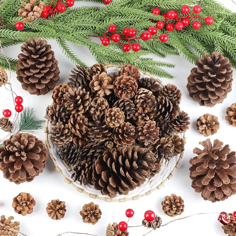 55 Stück natürlichen Tannenzapfen Weihnachts-Tannenzapfen Ornamente Grosse mittlere und kleine Gröss