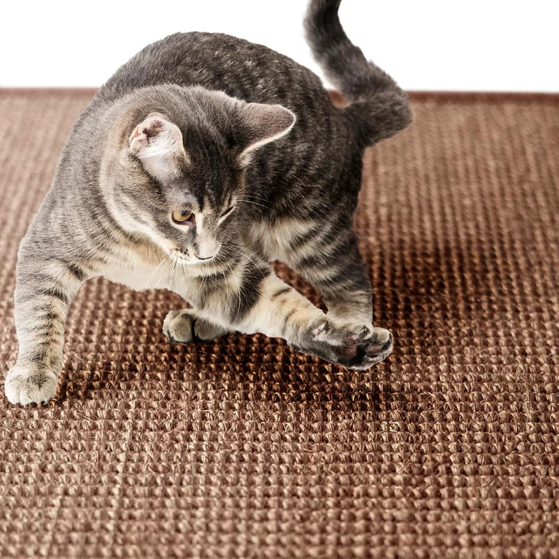 casa pura Katzen Kratzmatte rund 120cm Ø aus Natur Sisal Kratzteppich Kratzmöglichkeiten für Katzen