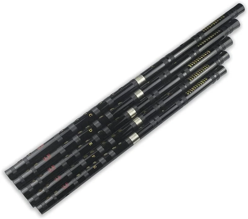 D Key Dizi Black Bitter Bamboo Flöte Chen Qing Flöte mit gratis Membran & Kleber & Protektor Set Tra