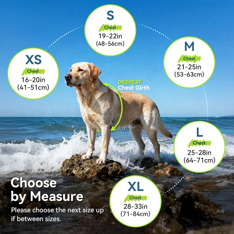 VIVAGLORY Hunde Schwimmweste High Buoyancy Hundeschwimmweste, M, Neongelb Neongelb M: 53-63cm (Brust