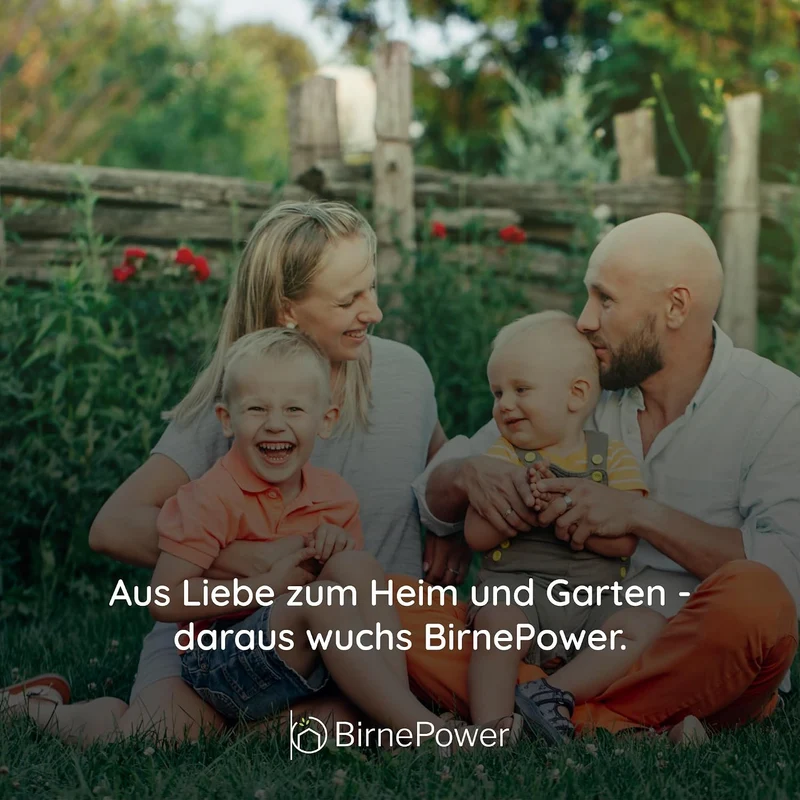 BirnePower Mülleimer 12L Aschgrau mit Deckel & Griff – Abfalleimer Systema Q Collect, Wandmontage mö