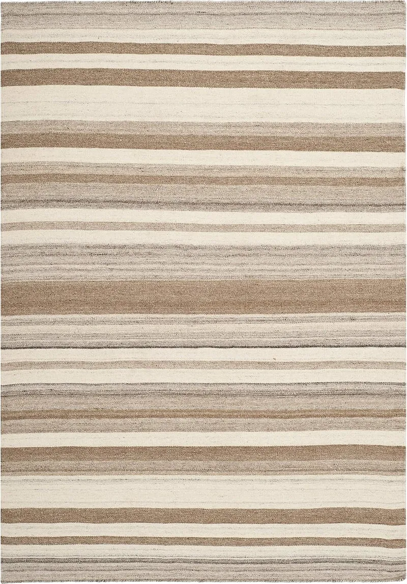 SAFAVIEH Zeitgenössische Teppich für Wohnzimmer, Esszimmer, Schlafzimmer - Dhurrie Collection, Kurze