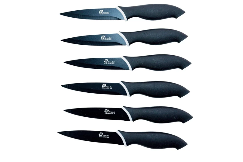Pradel Excellence CC006N Kasten mit 6 Antihaft-Steakmessern aus rostfreiem Edelstahl, Anisfarben Sch