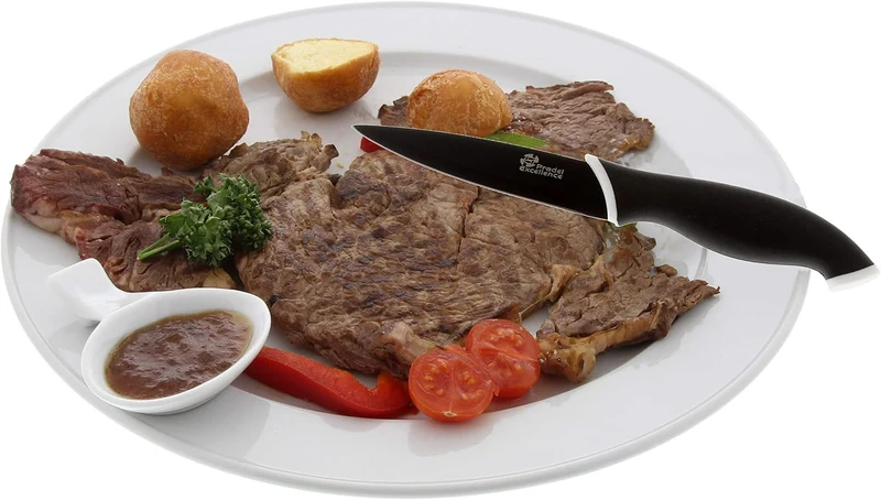 Pradel Excellence CC006N Kasten mit 6 Antihaft-Steakmessern aus rostfreiem Edelstahl, Anisfarben Sch