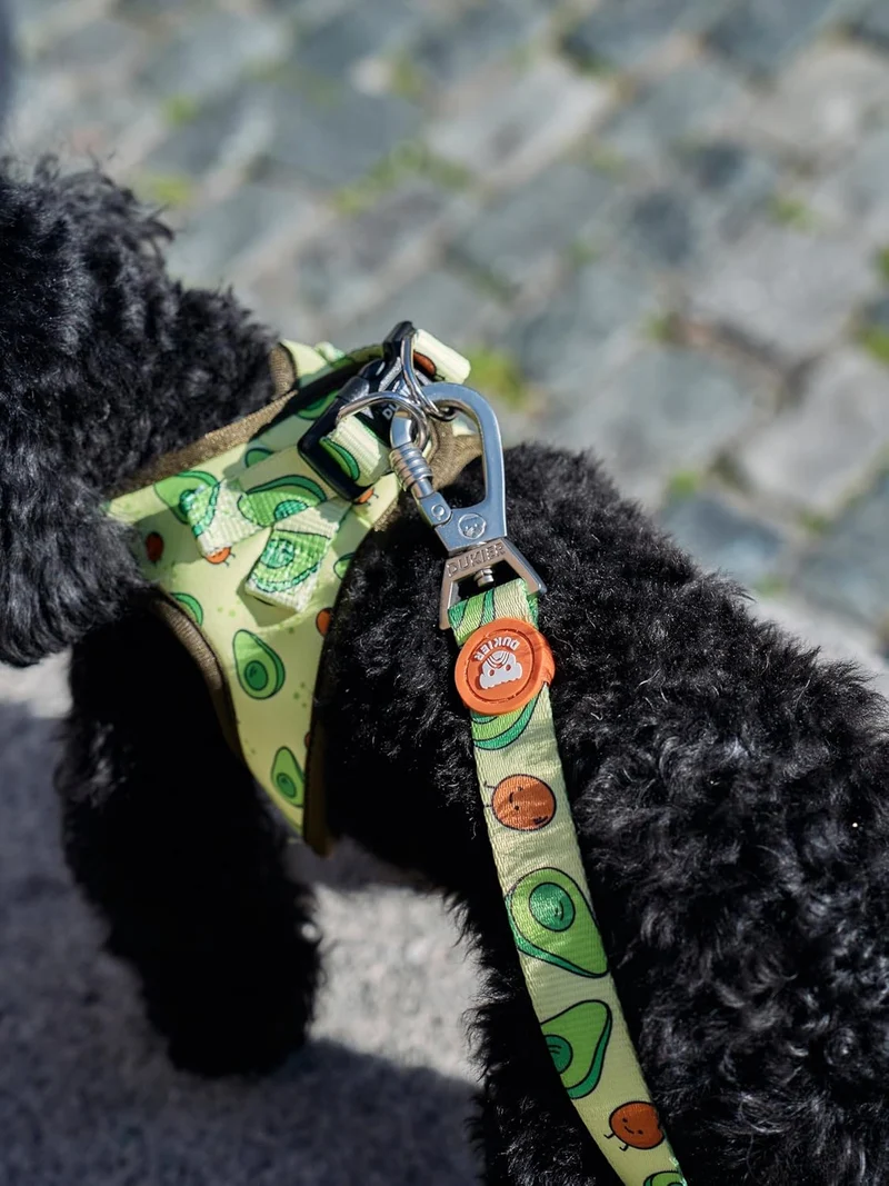 DUKIER - Hundegeschirr, Weste gegen Verletzung Body, verstellbar und robust für Haustiere, aus atmun