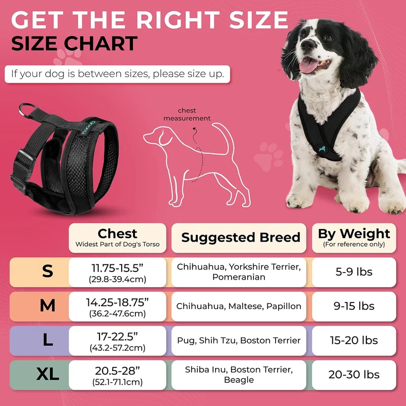 Gooby Comfort X Hundegeschirr zum Ziehen über den Kopf, komfortabel, kein Ziehen, für kleine bis mit