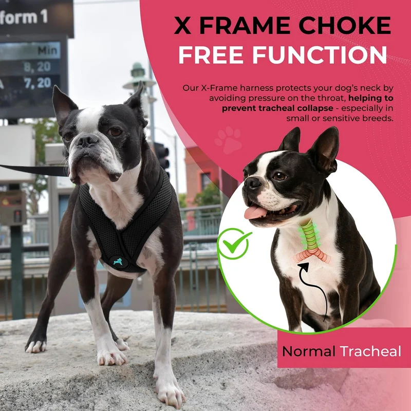 Gooby Comfort X Hundegeschirr zum Ziehen über den Kopf, komfortabel, kein Ziehen, für kleine bis mit