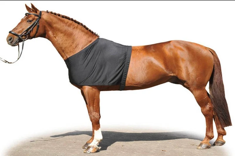 HKM 560950 Brustscheuerschutz, XL Schwarz XL, Schwarz XL