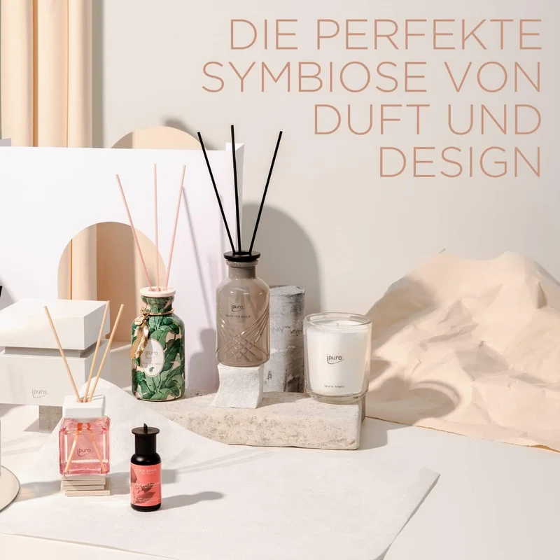 ipuro - erfrischender ipuro black bamboo Raumduft - dezenter Raumerfrischer mit grünen & holzigen No