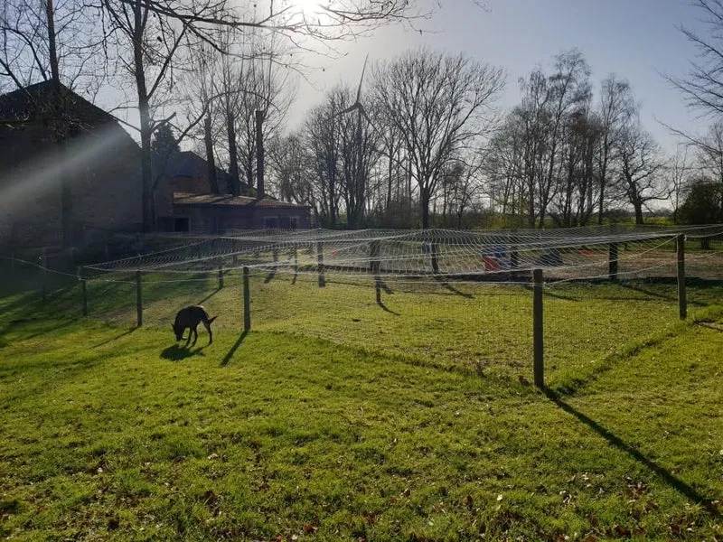 Teichnetz - 10,0m x 10,0m, Mw 10,0cm, geknotet, dunkelgrün, Reiherschutznetz Vogelabwehrnetz