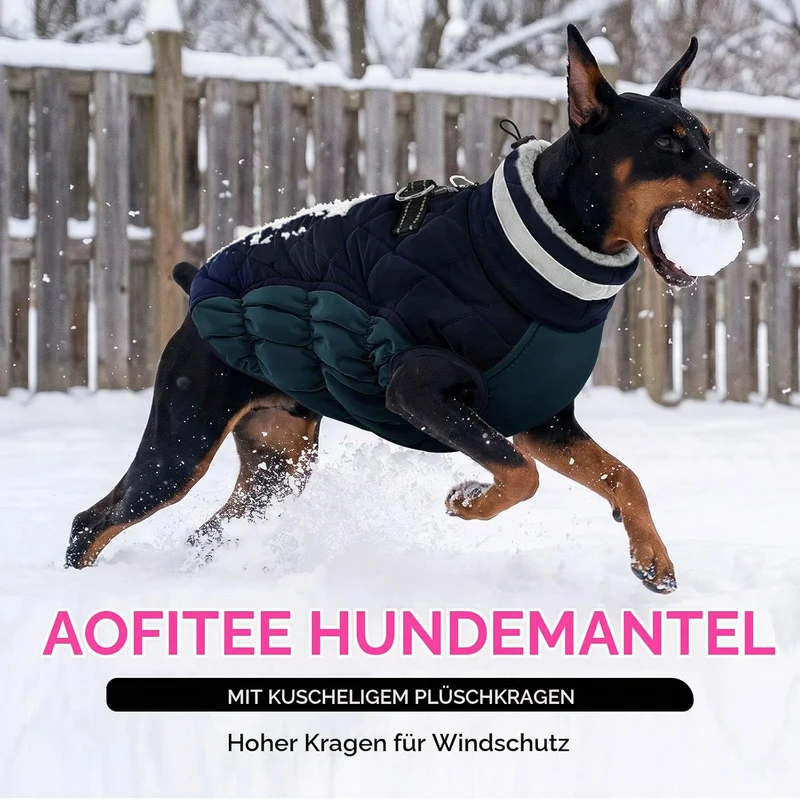 AOFITEE Hundejacke Kleine Hunde, Wasserdicht Hunde Wintermantel Warm Hundemantel mit Geschirr, Rollk
