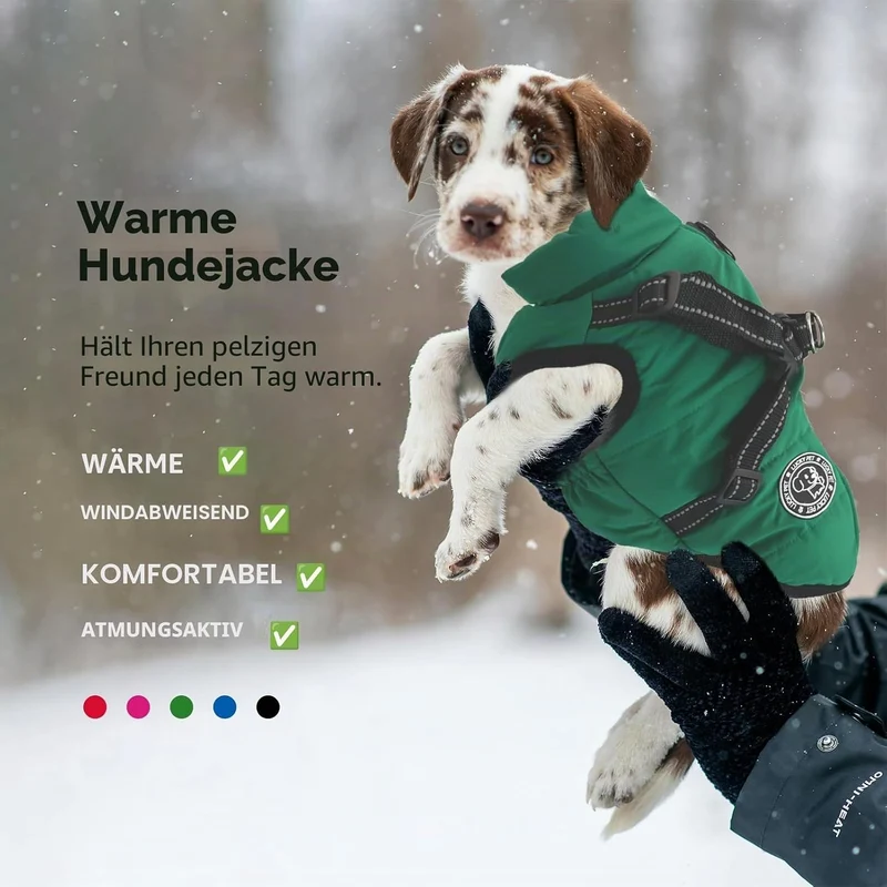 Hundemantel für Kleine Hunde Wasserdicht,Hundemantel mit Geschirr, Winterjacken & Wintermäntel für H
