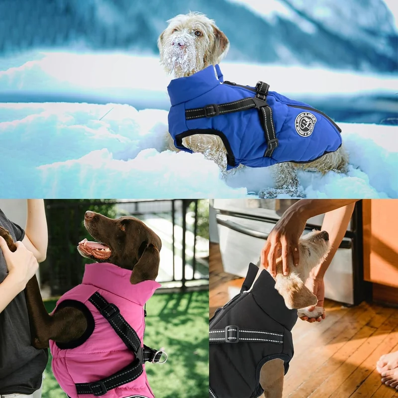 Hundemantel für Kleine Hunde Wasserdicht,Hundemantel mit Geschirr, Winterjacken & Wintermäntel für H