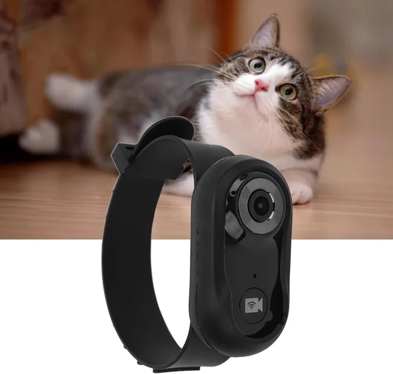 Bewinner Katzen Kamera Halsband – 120° Weitwinkel Sportkamera mit LCD-Bildschirm und 8 GB Speicherka